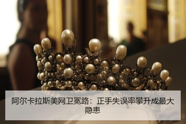 a-er-ka-la-si-mei-wang-wei-mian-lu-zheng-shou-shi-wu-lv-pan-sheng-cheng-zui-da-yin-huan-2-628.jpg