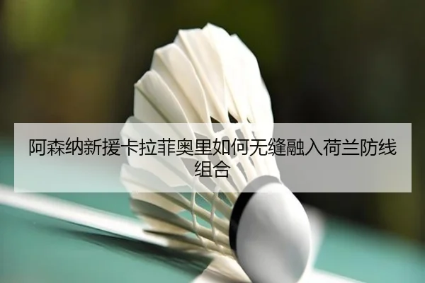 阿森纳新援卡拉菲奥里如何无缝融入荷兰防线组合